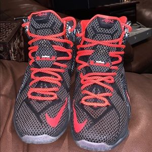 LeBron 12 Court Vision